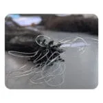 Premium Micro Loop Hair Extensions made from 100% natural human hair